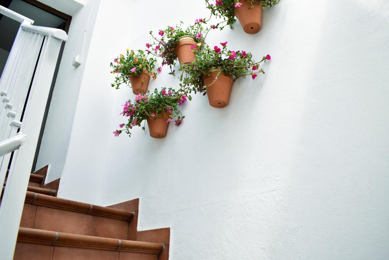 Apartmán Casa Calma Ronda Estudio Exteriér fotografie